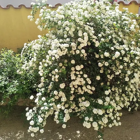 Apartamento Jacqueline