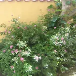 Jacqueline Appartement Pula