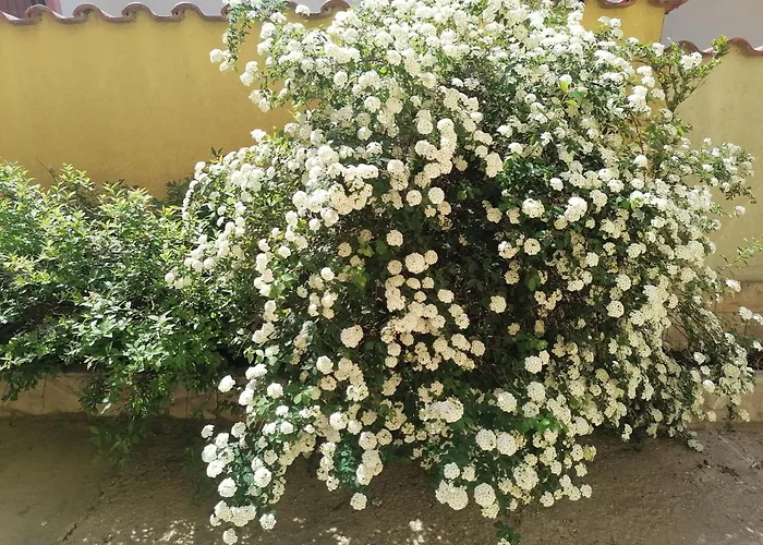 Lägenhet Jacqueline