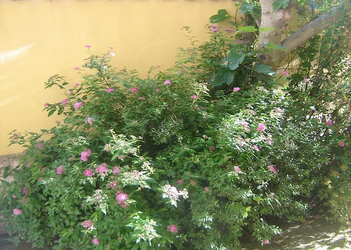 Jacqueline Lägenhet Pula